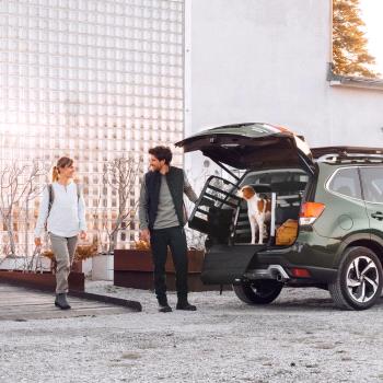 Chránič nárazníka Thule bumber protect wide