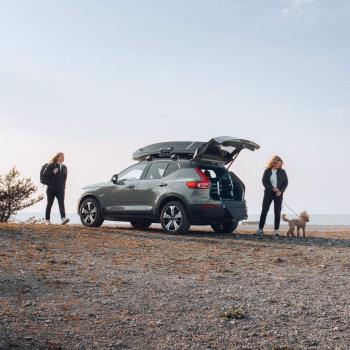 Thule Allax L Compact - klietka na prepravu psov do auta